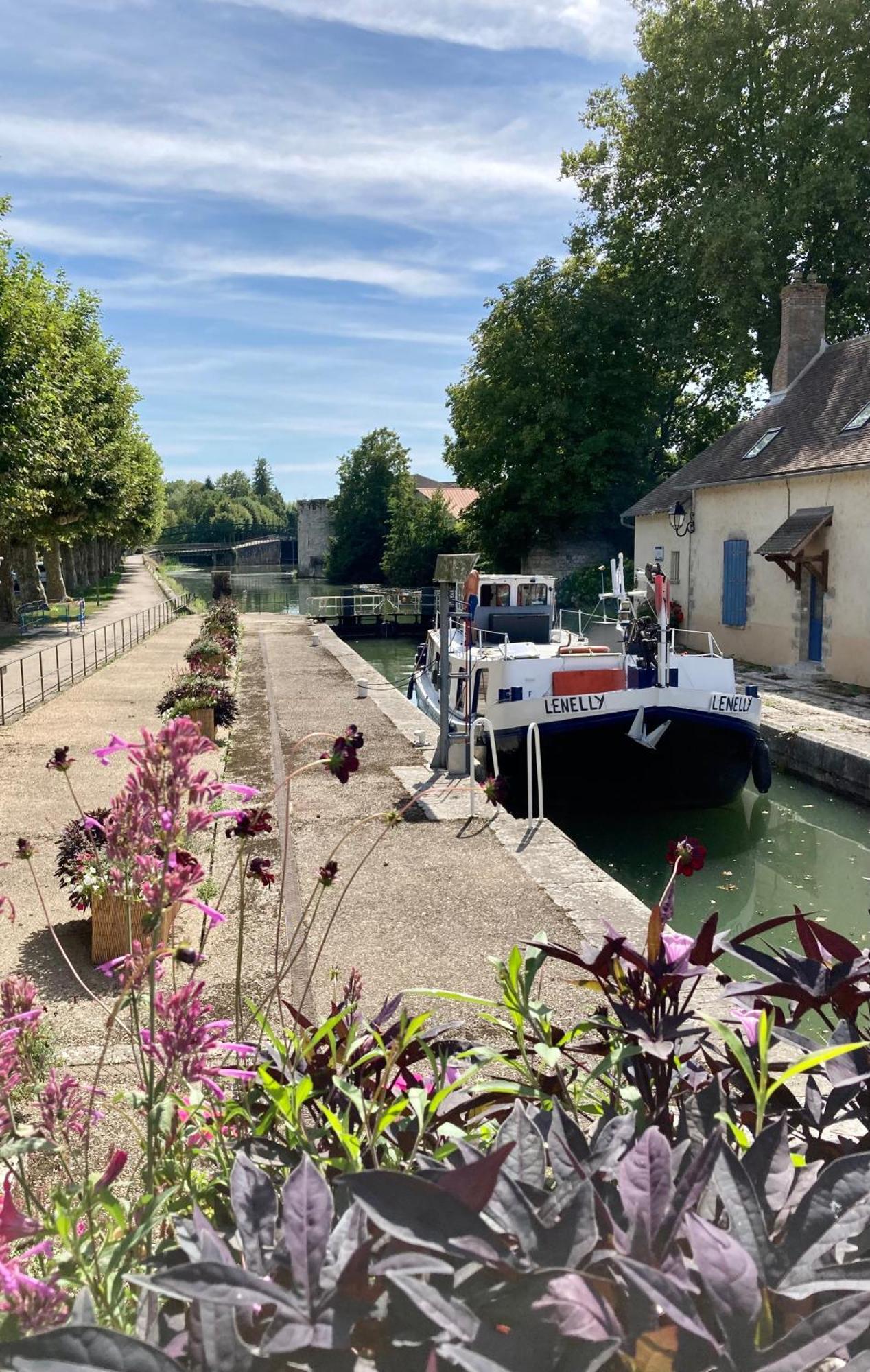 La Maison Virginie 1 A 2 Pers Charmant Hyper Centre- Cour- Parking- Linge- Fibre- Proximite Lac Canal Piscine Montargis Exteriör bild